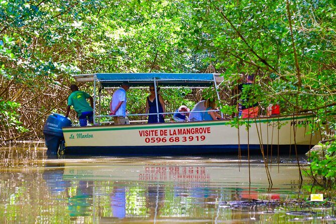 Mangrove Guided Tour - Who Should Consider This Tour?