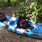Mangrove Kayak - What to Expect During the Tour