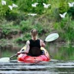 Mangrove Kayak - What Makes This Tour Special