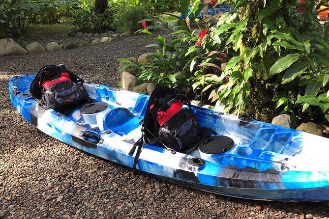 Mangrove Kayak - What to Expect During the Tour