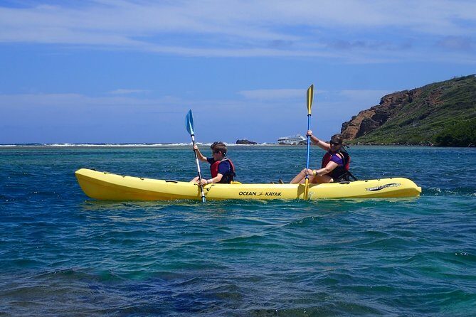 Mangrove Lagoon Kayak Rental in St Thomas - The Sum Up