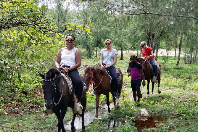 Mangrove tour,Horseback Riding, Snorkeling and beach in Roatan - Exploring Roatan’s Natural Beauty: A Walkthrough