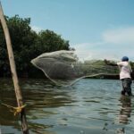 Mangroves, cultural fishing, black heritage town and lunch - A Deep Dive into This Unique Cartagena Adventure