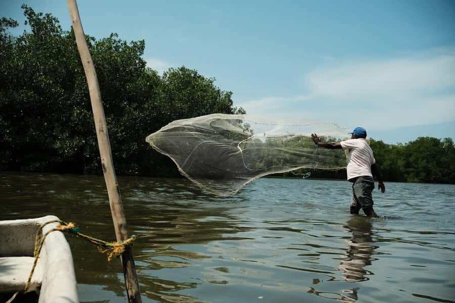 Mangroves, cultural fishing, black heritage town and lunch - A Deep Dive into This Unique Cartagena Adventure