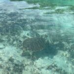 Mangroves Kayak Tour - FAQs