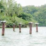 Mangroves, Mogotes and Mountains from Punta Cana - Who Will Enjoy This Tour?