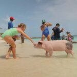 Mansa Bay w/ Swimming Pigs, Banana Boat, JetSki & Snorkeling - Authentic Reviews and What Travelers Say