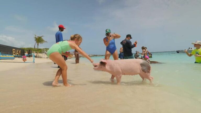 Mansa Bay w/ Swimming Pigs, Banana Boat, JetSki & Snorkeling - Authentic Reviews and What Travelers Say