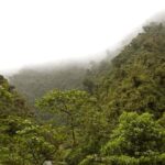 Manu Cultural Zone Tour 5 Days - What’s Included and What’s Not