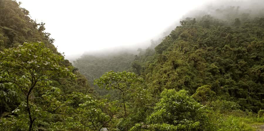 Manu Cultural Zone Tour 5 Days - What’s Included and What’s Not