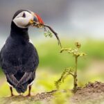 Manu Jungle Tour (3 Days) - The Sum Up