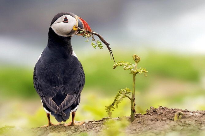 Manu Jungle Tour (3 Days) - The Sum Up