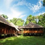 Manu Jungle Tour 5 Days - What Makes This Tour Stand Out