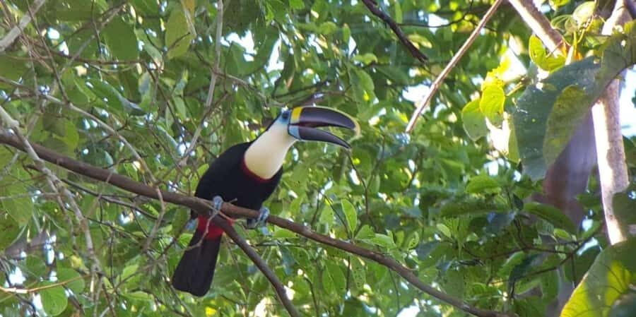 Manu National Park 3 Day Trip - A Detailed Look at the Manu National Park 3-Day Tour