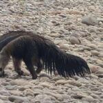 Manu National Park 4 Days - Who Will Love This Tour?