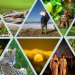 Manú Park | Paucartambo | Pilcopata 3 days includes food - Day 1: Cusco to Cloud Forest and Pilcopata