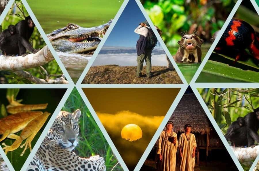 Manú Park | Paucartambo | Pilcopata 3 days includes food - Day 1: Cusco to Cloud Forest and Pilcopata