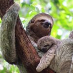 Manuel Antonio National Park - The Experience from a Traveler’s Perspective