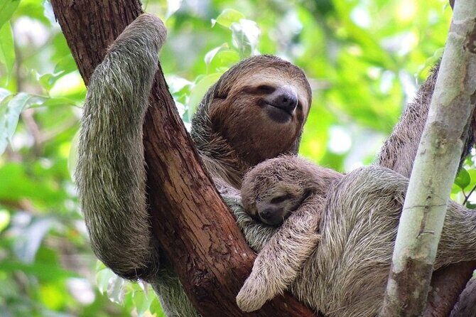 Manuel Antonio National Park - The Experience from a Traveler’s Perspective