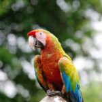 Manuel Antonio National Park; Beach & Sightseeing Day Trip from San Jose - What Makes This Tour Stand Out?