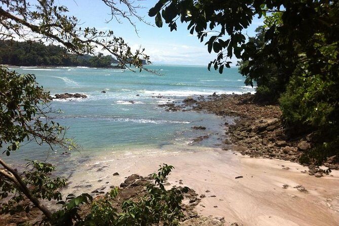 Manuel Antonio National Park Guided Tour - Practical Details and Tips