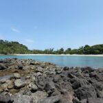 Manuel Antonio National Park Guided Tour - Exploring the Heart of Manuel Antonio with a Guide