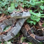 Manuel Antonio National Park Hiking Tour - Who Will Enjoy This Tour?