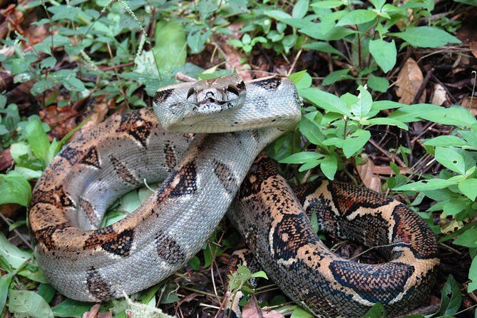 Manuel Antonio National Park Hiking Tour - Who Will Enjoy This Tour?