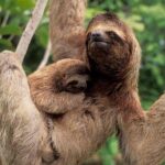 Manuel Antonio National park, PRIVATE day tour from jaco - Final Thoughts