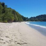 Manuel Antonio National Park Sightseeing and Wildlife Day Tour from San Jose - What Travelers Say
