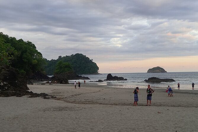 Manuel Antonio Quepos Hotels to SJO Airport area Private Transfer - A Deep Dive into the Manuel Antonio to SJO Airport Private Transfer