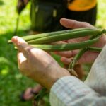 Manuel Antonio Villa Vanilla Spice Tour - Why This Tour Stands Out