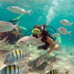 Maracajau Parrachos Reef: Mask and Snorkel swim adventure - In-Depth Review of the Experience