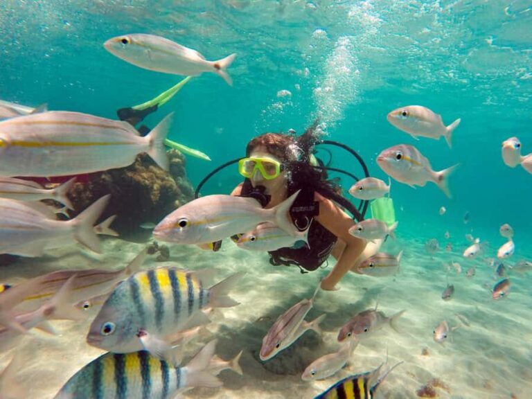 Maracajau Parrachos Reef: Mask and Snorkel swim adventure - In-Depth Review of the Experience