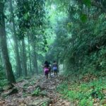 Maracas Waterfall - Final Thoughts