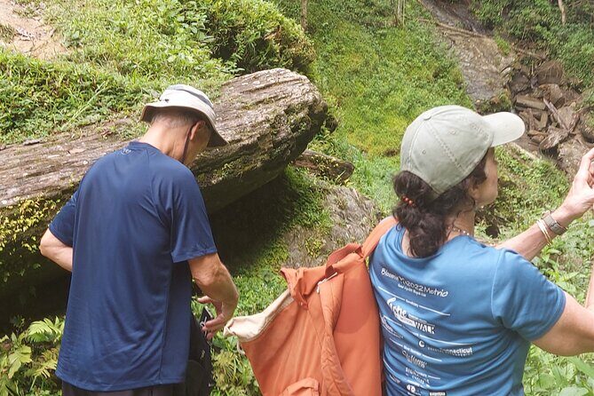 Maracas Waterfall Hike