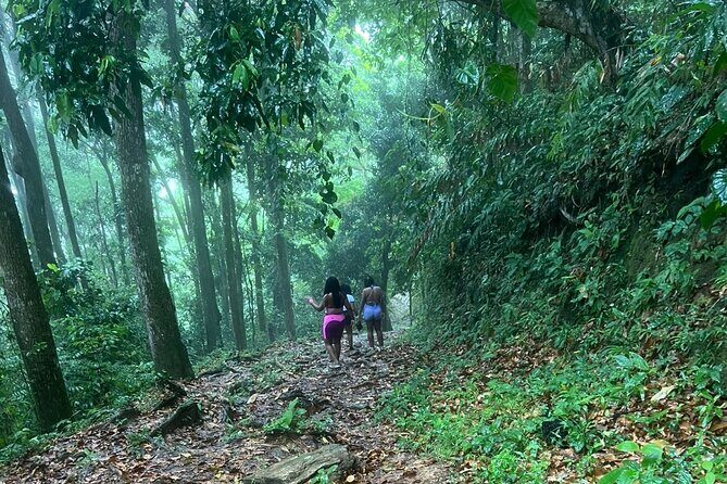 Maracas Waterfall - Final Thoughts