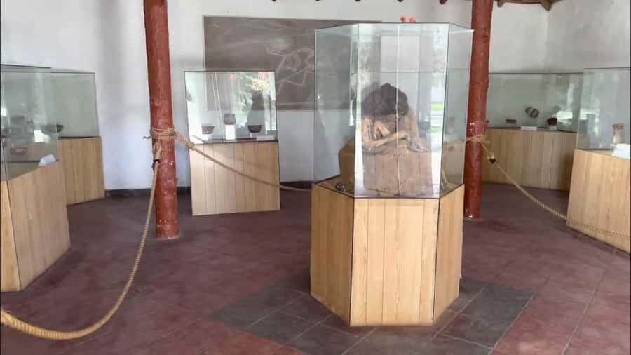 Maria Reiche Museum and Nazca Lines Viewpoint - Who Should Consider This Tour?