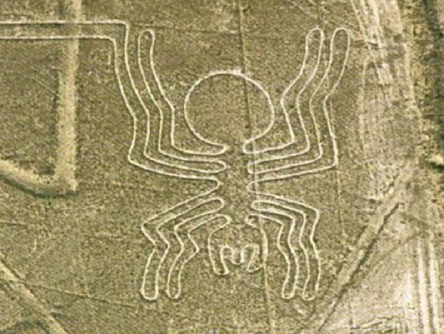 Maria Reiche Museum and viewpoint of the Nazca Lines - Detailed Breakdown of the Itinerary