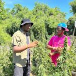 Marijuana Farm & Bamboo Rafting with Limestone Foot Massage - A Detailed Look at the Marijuana Farm & Bamboo Rafting Tour