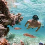 Marinarium Snorkeling Cruise from Punta Cana - Who Will Love This Tour?