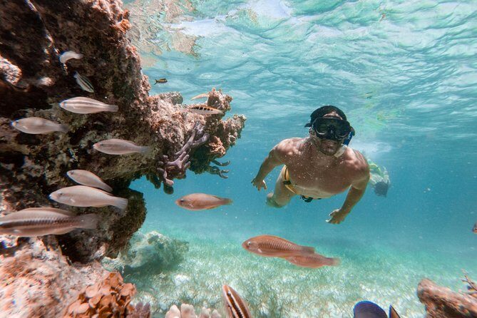 Marinarium Snorkeling Cruise from Punta Cana - Who Will Love This Tour?