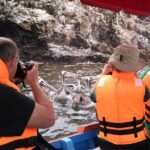 Marine wildlife observation in a fishing village - A Detailed Look at the Tour Experience