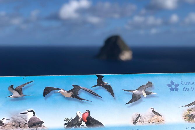 Martinique Shore Excursion - Authentic Tour of Southern Martinique - Practical Tips & Recommendations