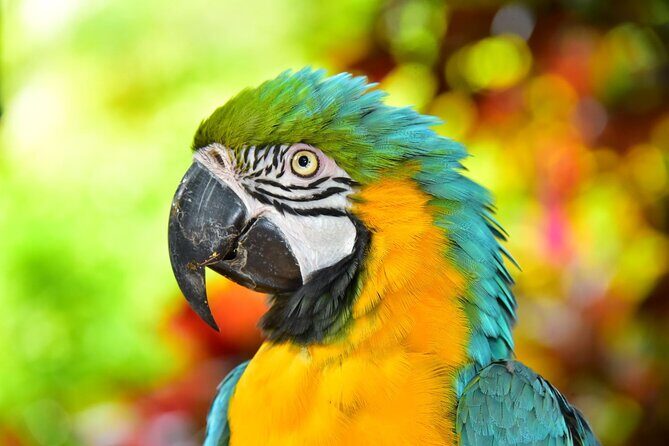 Maya Culture and History, Secluded Island and Animal Rescue Center at Maya Key - Why This Tour Offers Excellent Value