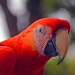 Mayan Eden Eco Wildlife Park, City Tour & Private Transfer - An In-Depth Look at the Experience