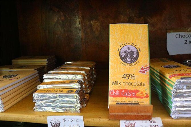 Mayan Jungle Zipline, Monkey & Sloths, City Tour & Private Vehicle - Who Should Consider This Tour?