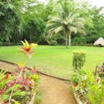 Mayfield Falls and Benta Falls Private Tour - The Sum Up: Is this tour worth it?