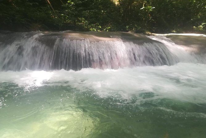 Mayfield Falls from Montego Bay - Why Choose This Tour? Who Will Love It?