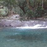 Mayfield Falls nature walk - Who This Tour Is Best For